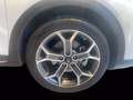 Kia XCeed 1.6 GDi 141 CV PHEV DCT High Tech Bianco - thumbnail 14