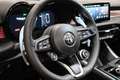 Alfa Romeo Tonale Tonale 1.6 diesel 130 CV TCT6 Veloce Negro - thumbnail 9