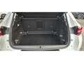 Opel Grandland 1.2 GS Line AHK ACC FACEL. LED 360° Blanco - thumbnail 16