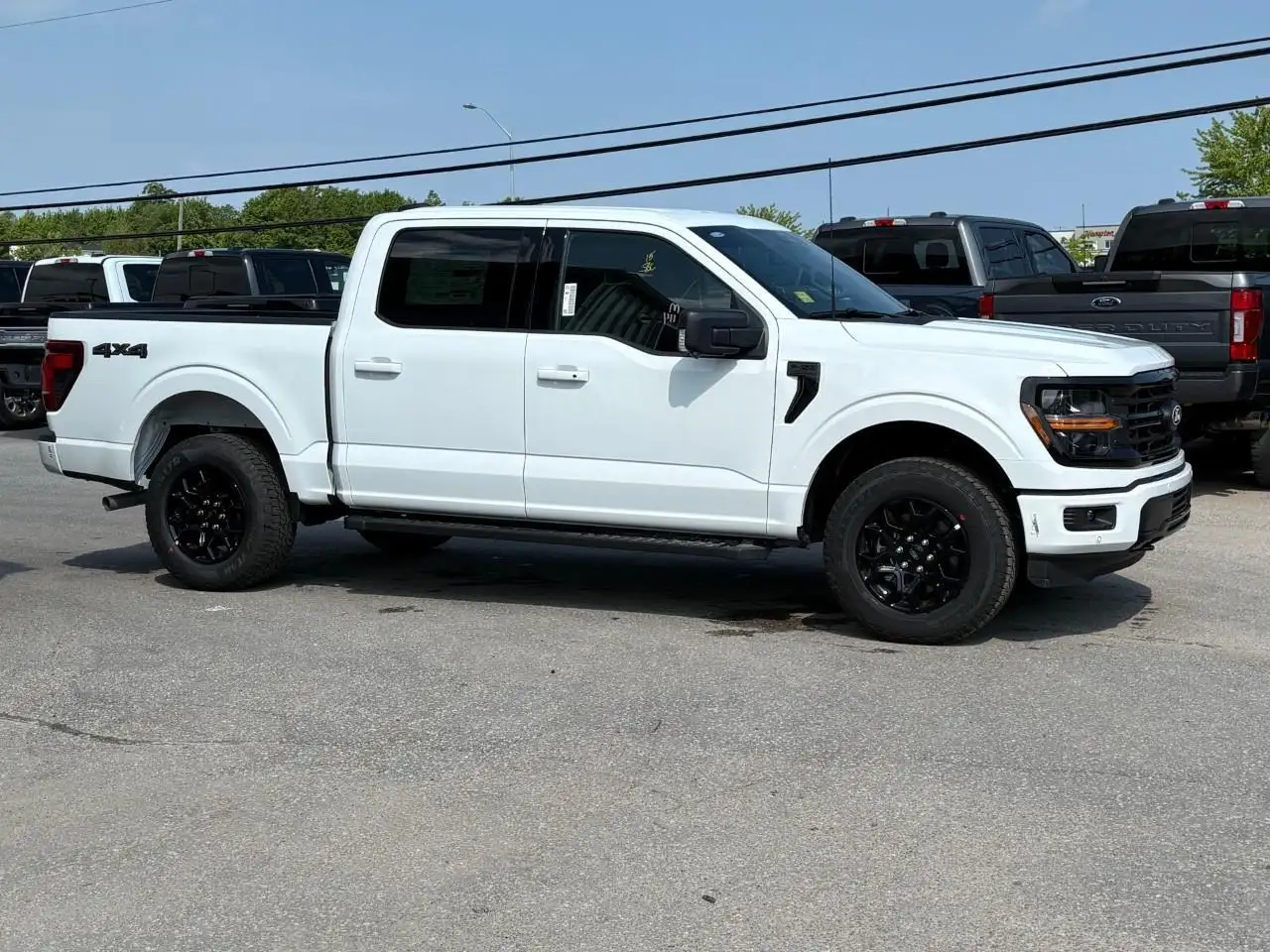 Ford F 150 fotografie Ford F 150