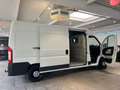 Fiat Ducato Maxi Hoch+Lang*L3-H2*Tüv NEU - thumbnail 11