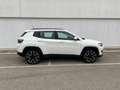 Jeep Compass 1.6 mjt Longitude 2wd 120cv my19 Wit - thumbnail 3