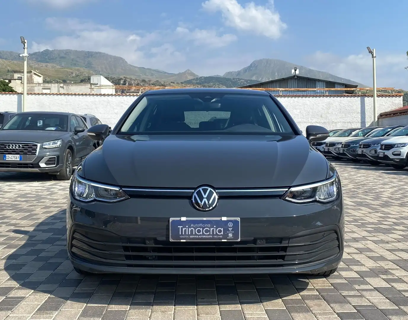 Volkswagen Golf Life 2.0 TDI 116CV Grigio - 2