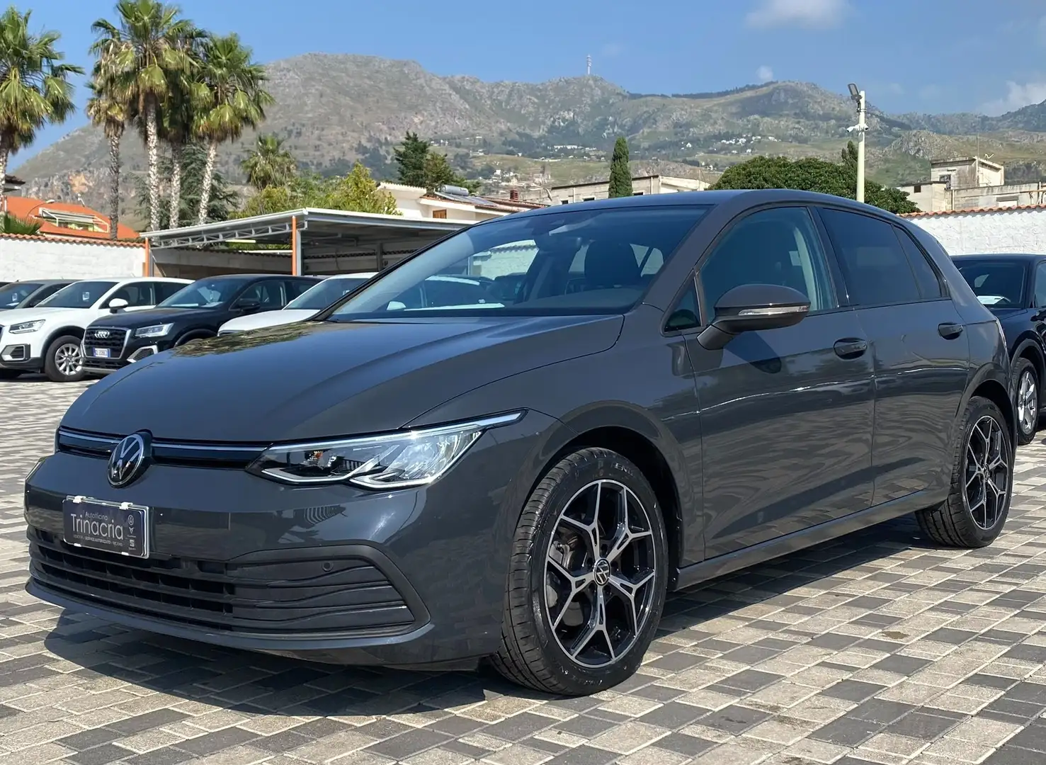 Volkswagen Golf Life 2.0 TDI 116CV Grigio - 1
