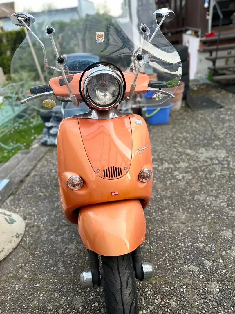 Aprilia Habana Arancione - 1