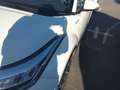 Toyota C-HR+ 1.8 125H Advance Blanco - thumbnail 18