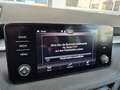 Skoda Fabia Style TSI DSG Grau - thumbnail 26