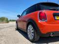 MINI Cooper 1.5 Cooper Chili LED NAVI Adaptive Sportstoelen Un Arancione - thumbnail 13