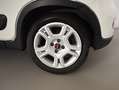 Fiat Panda 1.0 Hybrid 70CV City Life Blanco - thumbnail 15