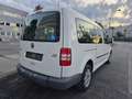 Volkswagen Caddy Kombi  Rollsthul 1,6 TDI DPF - thumbnail 8