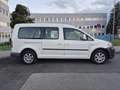 Volkswagen Caddy Kombi  Rollsthul 1,6 TDI DPF - thumbnail 6