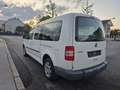 Volkswagen Caddy Kombi  Rollsthul 1,6 TDI DPF - thumbnail 5