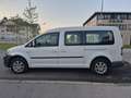 Volkswagen Caddy Kombi  Rollsthul 1,6 TDI DPF - thumbnail 4