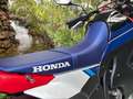 Honda CRF 300 L Rally 2025 6 Jahre Garantie Rojo - thumbnail 5