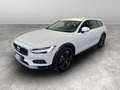Volvo V90 Cross Country D4 AWD Geartronic Business Pro Bianco - thumbnail 1