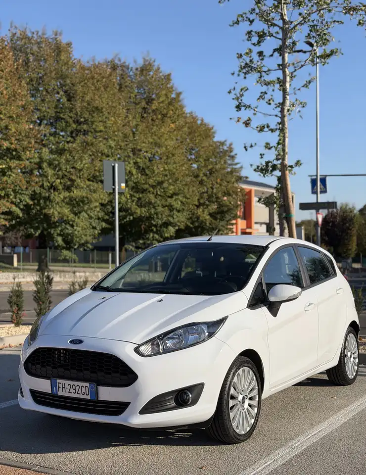 Ford Fiesta 1.5 TDCi St&St Titanium — photo 1 of 11