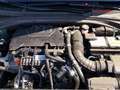 Kia Ceed / cee'd 1.0 T-GDI Concept 100 Groen - thumbnail 14