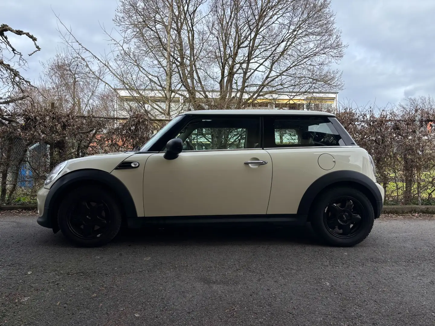 MINI One MINI  1,6 / 8fach bereift - 1