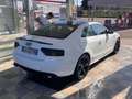 Audi A5 Coupe 2.0 tdi Bianco - thumbnail 8