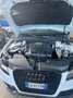 Audi A5 Coupe 2.0 tdi Bianco - thumbnail 6