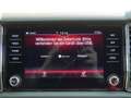 Skoda Kodiaq 2.0 TSI Sportline 4x4 DSG LED SHZ PDC Gris - thumbnail 14