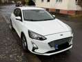 Ford Focus 1.5 EcoBlue Start-Stopp-System TREND Weiß - thumbnail 4