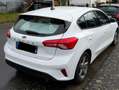 Ford Focus 1.5 EcoBlue Start-Stopp-System TREND Weiß - thumbnail 3