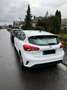 Ford Focus 1.5 EcoBlue Start-Stopp-System TREND Weiß - thumbnail 8