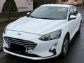 Ford Focus 1.5 EcoBlue Start-Stopp-System TREND Weiß - thumbnail 2