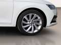 Skoda Octavia 1.5 TSI MHEV Selection DSG7 110kW Blanco - thumbnail 19