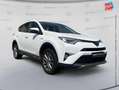 Toyota RAV 4 197 Hybride Dynamic 2WD CVT Camera Blanc - thumbnail 3