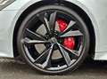 Audi RS6 Avant performance BLACK HUD PANO NACHTS STHZ Weiß - thumbnail 6
