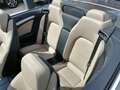 Mercedes-Benz E 220 CDI Cabrio Avantgarde/CUIR-NAVI-CLIM AUTO-XENON/ Bruin - thumbnail 12