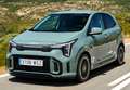 Kia Picanto 1.0 DPi Business Gris - thumbnail 4