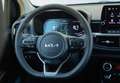 Kia Picanto 1.0 DPi Business Gris - thumbnail 11