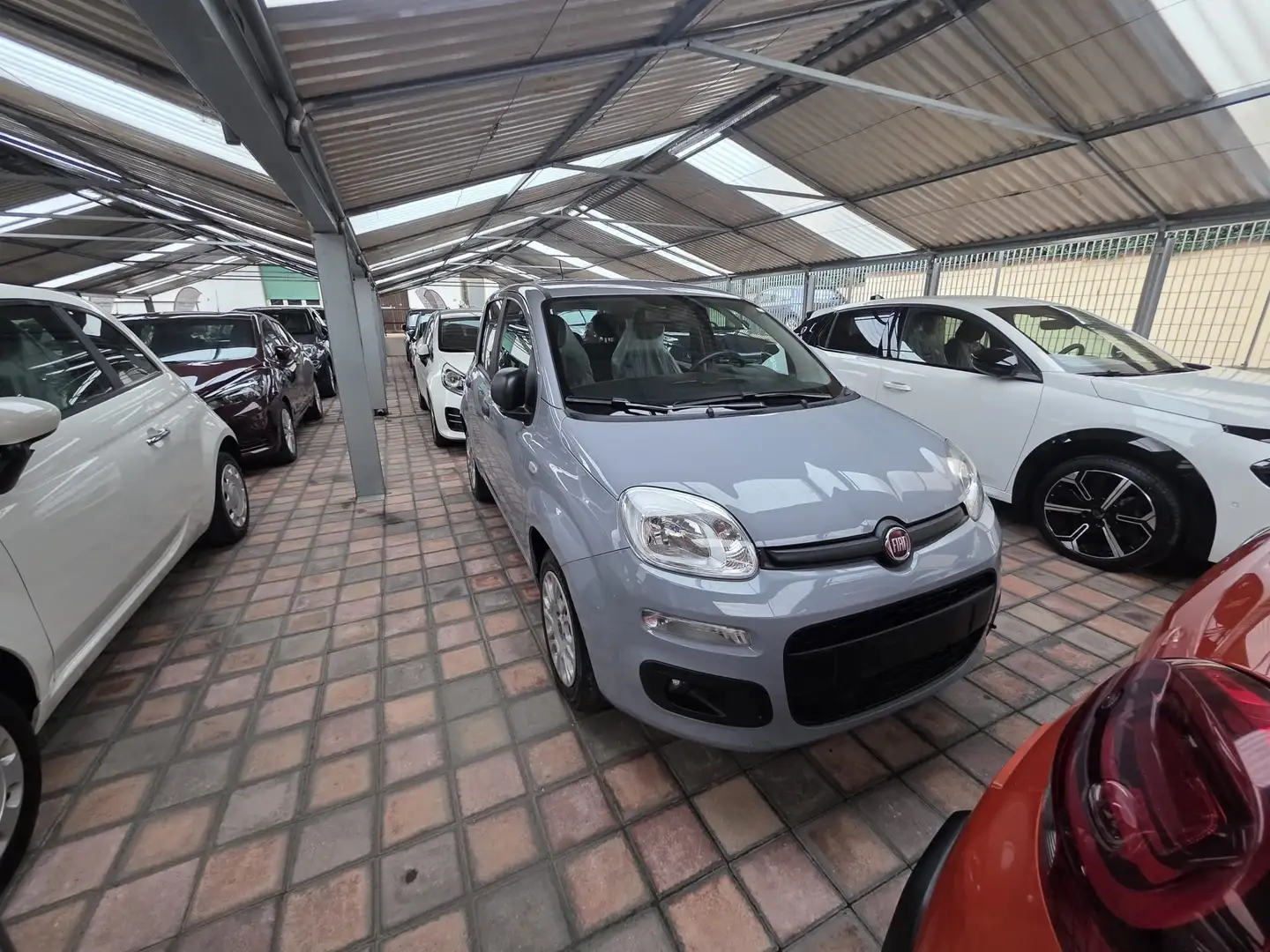 Fiat Panda Panda 1.0 firefly hybrid Grigio - 2