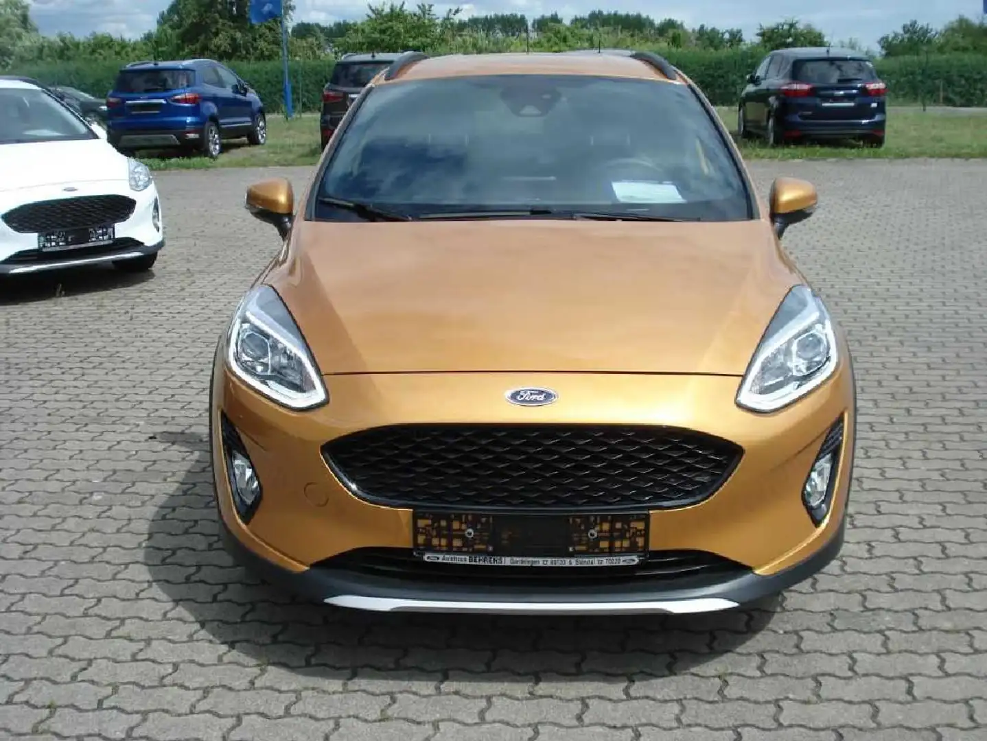 Ford Fiesta Active Plus Gold - 2