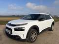 Citroen C4 Cactus Shine Weiß - thumbnail 6