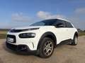 Citroen C4 Cactus Shine Weiß - thumbnail 5