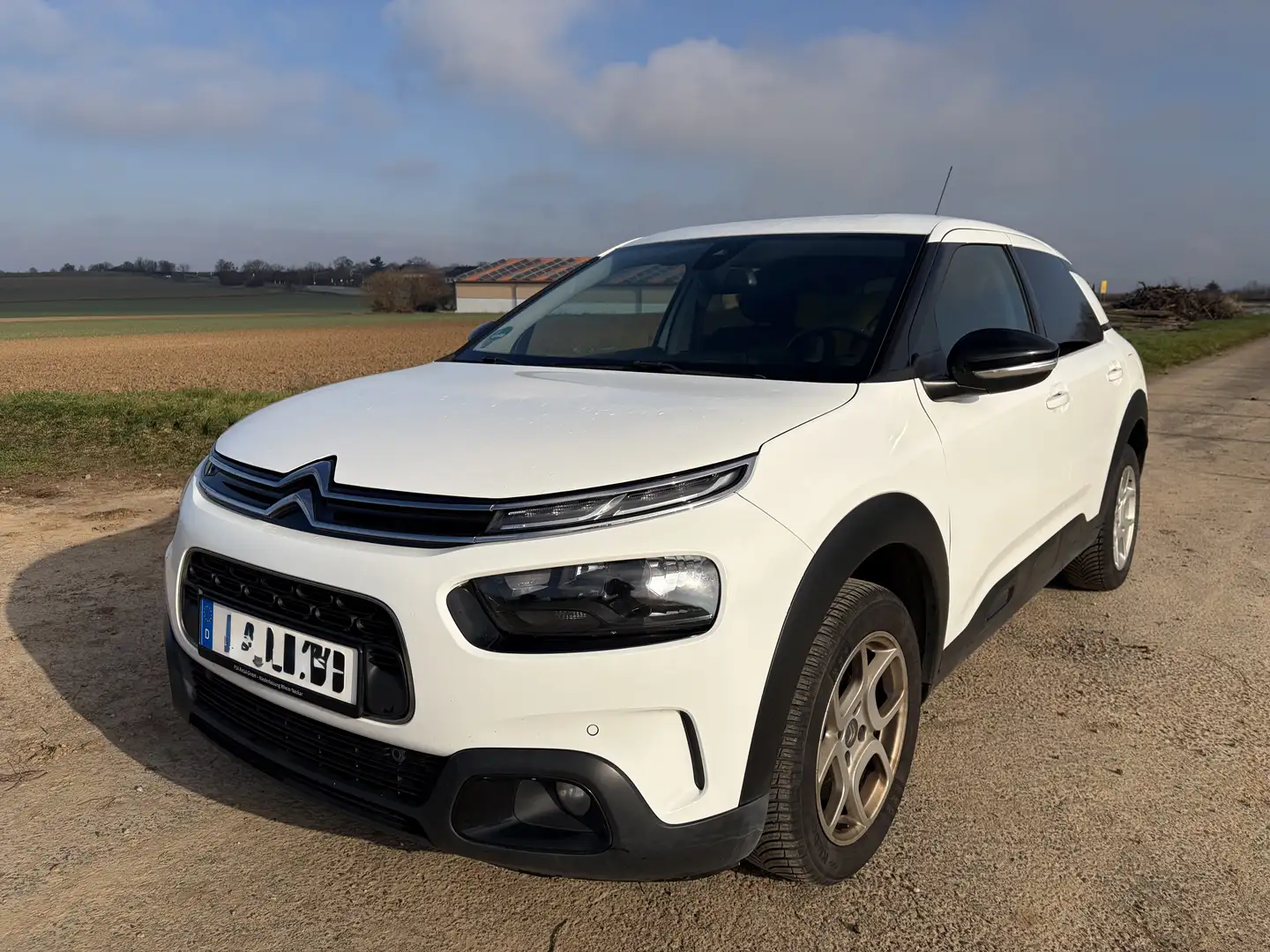 Citroen C4 Cactus Shine Weiß - 1