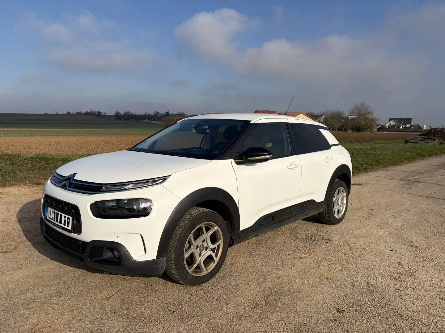 Citroen C4 Cactus Shine Weiß - 2