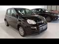 Fiat Panda 1.0 firefly hybrid s&s 70cv 5p.ti Nero - thumbnail 3