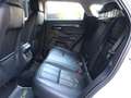 Land Rover Range Rover Evoque 2.0D MHEV SE AWD Aut. 150 Bianco - thumbnail 18