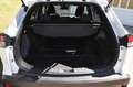 Toyota Corolla Cross Hybrid 2.0 VVT-i 4x4 Team D. Blanco - thumbnail 10