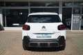 Citroen C3 Aircross PT 110 Shine Navi | Camera & Sensoren | Apple Carp Wit - thumbnail 24