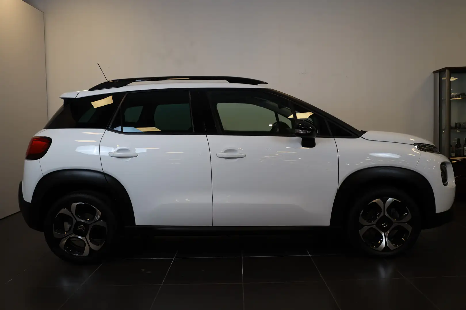 Citroen C3 Aircross PT 110 Shine Navi | Camera & Sensoren | Apple Carp Wit - 2