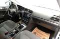 Volkswagen Golf 1,0 TSI ''SITZHEIZUNG*NAVI*PDC*USB*FREISPR'' Silber - thumbnail 19