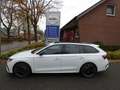 Skoda Octavia Combi 2.0 TSI "RS" PANO LED AHK NAVI PDC Weiß - thumbnail 2