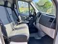 Volkswagen Crafter PRO Furgón BMT 35 BL TA 163 Blanco - thumbnail 13