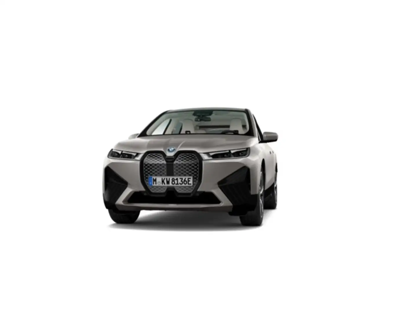 BMW iX xDrive 40 Gris - 1